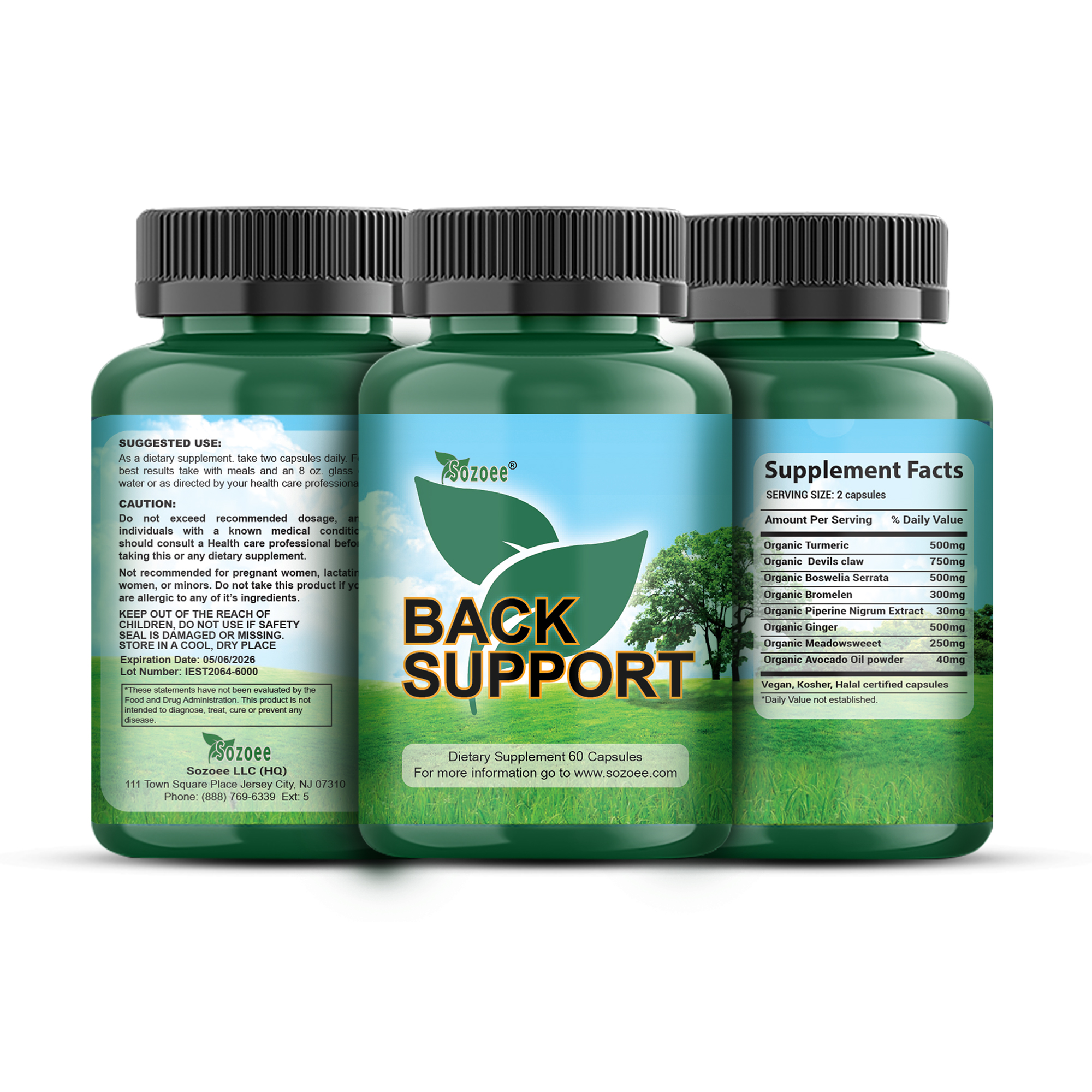 Back Support without barcode